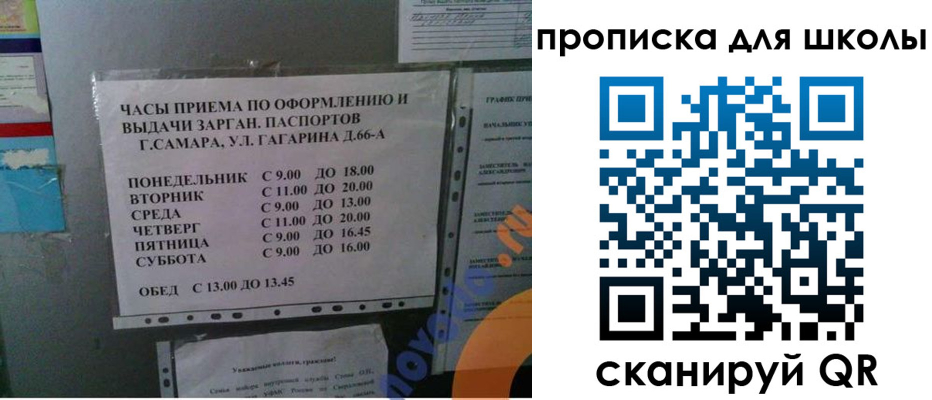 где прописаться в Пересвете